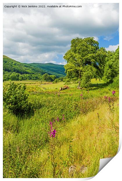 Looking up the Talybont Valley Brecon Beacons Print by Nick Jenkins