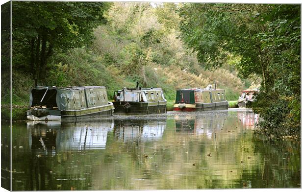 Narrowboats on the Tring Cutting Canvas Print by graham young