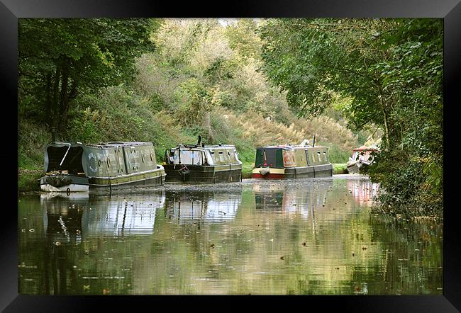 Narrowboats on the Tring Cutting Framed Print by graham young