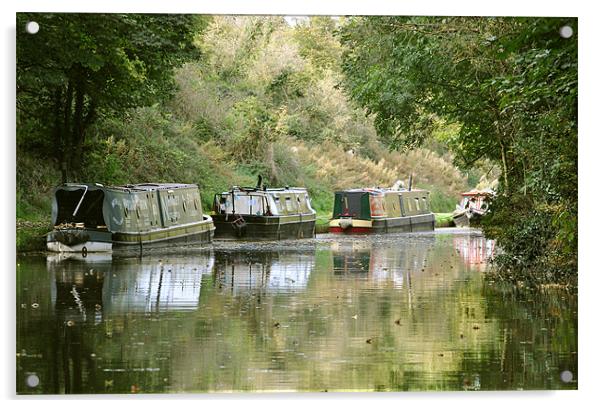 Narrowboats on the Tring Cutting Acrylic by graham young
