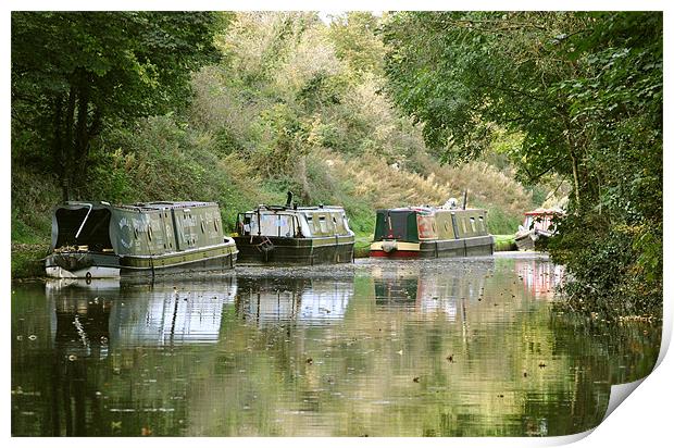 Narrowboats on the Tring Cutting Print by graham young