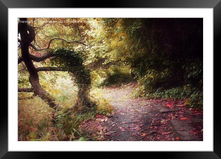 The Woodland Path 3 Framed Mounted Print by Christine Lake