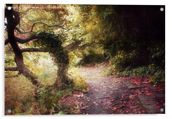 The Woodland Path 3 Acrylic by Christine Lake