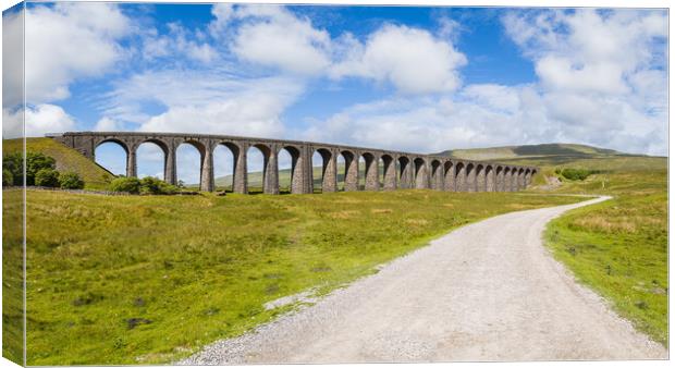 Pathway to Ribblehead Viaduct Canvas Print by Jason Wells