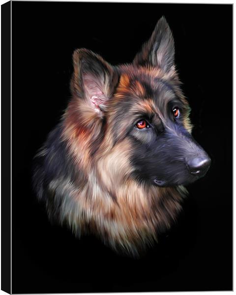 German Shepherd Canvas Print by Julie Hoddinott