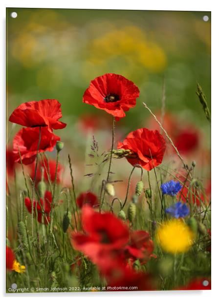 Poppy flowers Acrylic by Simon Johnson