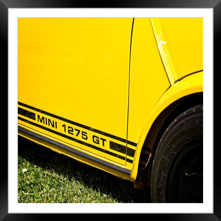 Bright Yellow Mini Framed Mounted Print by Rob Cole