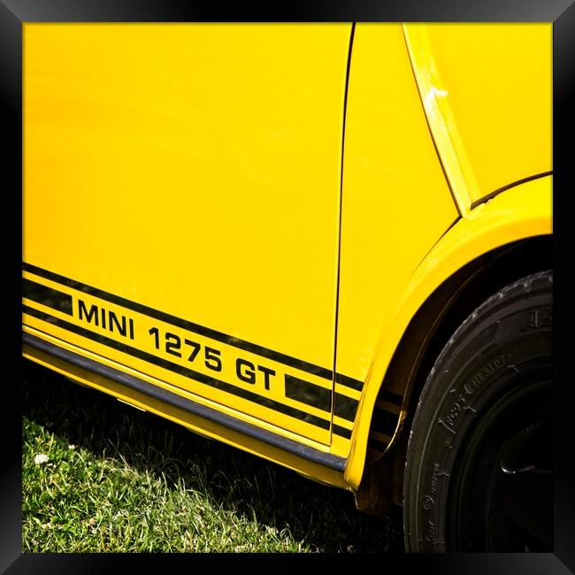 Bright Yellow Mini Framed Print by Rob Cole