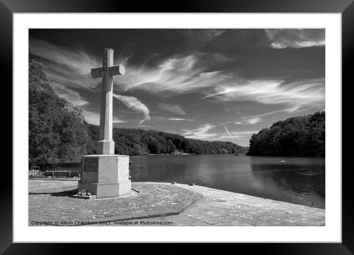 Newmillerdam, Wakefield  Framed Mounted Print by Alison Chambers