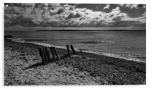Lepe Beach, Beaulieu, Hampshire (mono) Acrylic by Derek Daniel