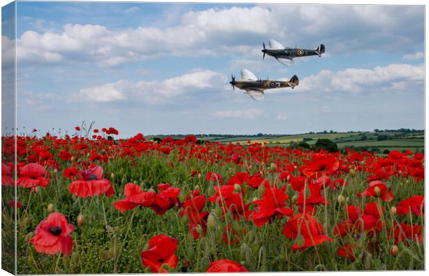 Spitfires and Poppies Canvas Print by J Biggadike