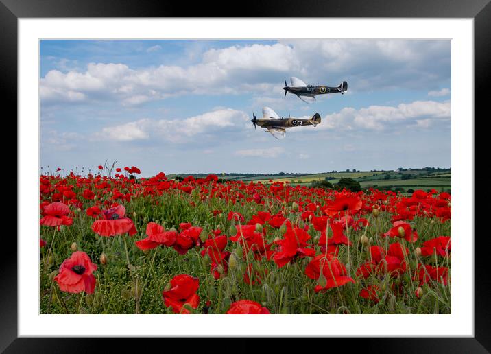 Spitfires and Poppies Framed Mounted Print by J Biggadike
