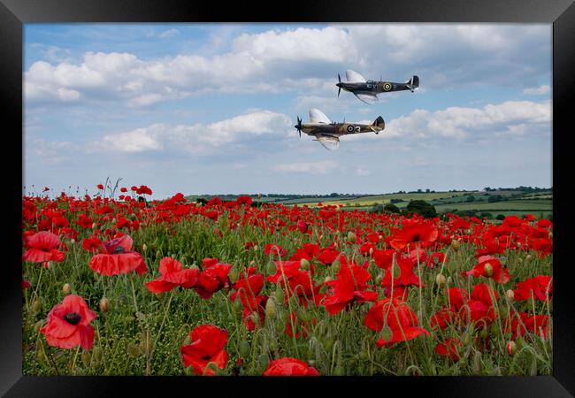 Spitfires and Poppies Framed Print by J Biggadike