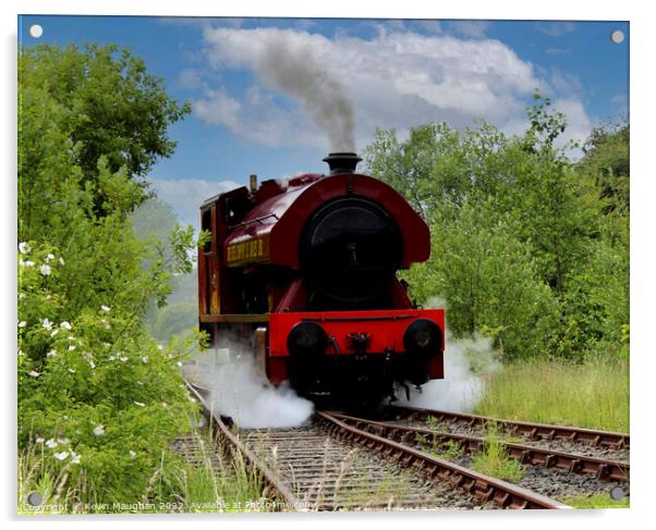 Steam Locomotive No. 401 Thomas Burt (3) Acrylic by Kevin Maughan