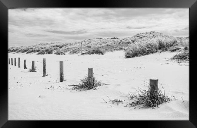 Posts on Ainsdale beach Framed Print by Jason Wells