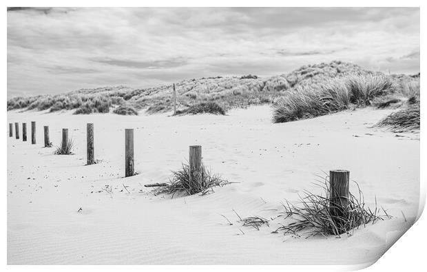 Posts on Ainsdale beach Print by Jason Wells