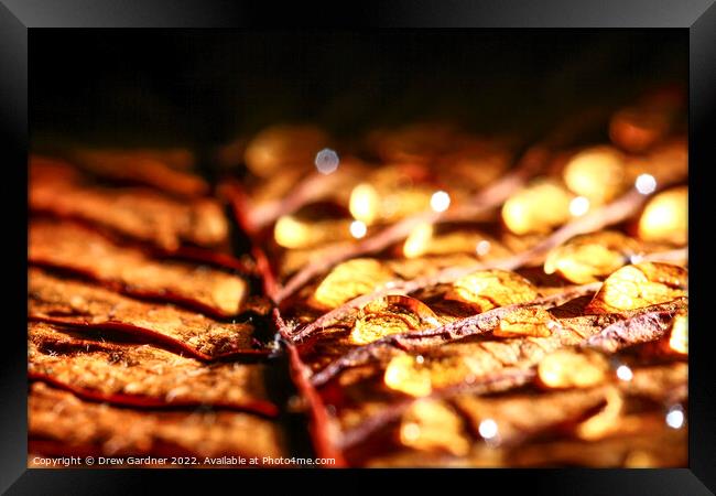 Water Drops Framed Print by Drew Gardner