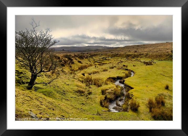 Dartmoor Natural Spring Framed Mounted Print by Stuart Wyatt
