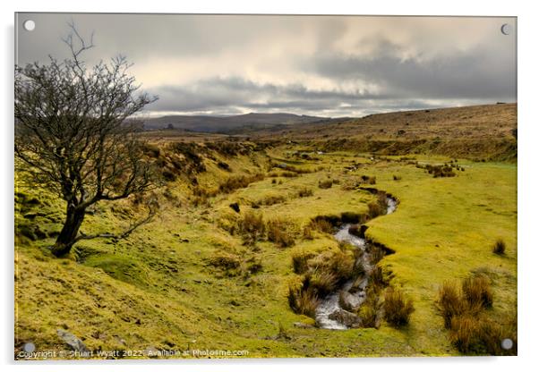 Dartmoor Natural Spring Acrylic by Stuart Wyatt