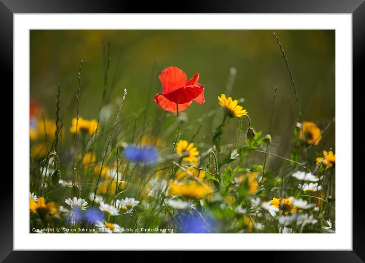 Poppy and meadow flowers  Framed Mounted Print by Simon Johnson