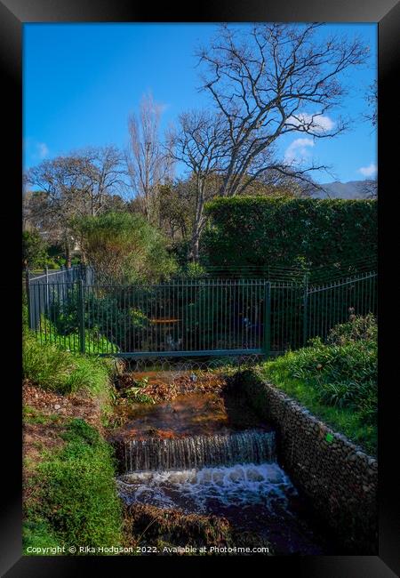 Alphen Trail, Constantia, South Africa Framed Print by Rika Hodgson