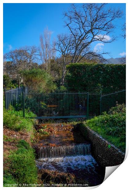 Alphen Trail, Constantia, South Africa Print by Rika Hodgson