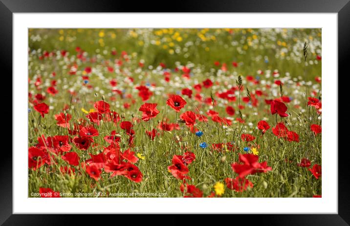 meadow flowers and poppys Framed Mounted Print by Simon Johnson