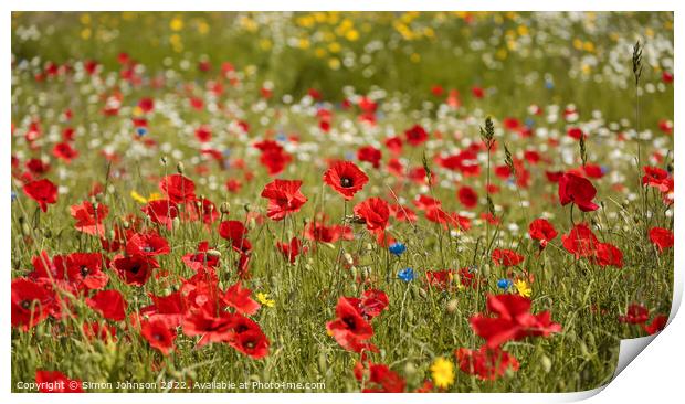 meadow flowers and poppys Print by Simon Johnson