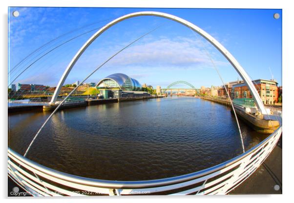 Gateshead Millennium Bridge, Sage and Tyne Bridge, Newcastle upon Tyne, UK Acrylic by Geraint Tellem ARPS