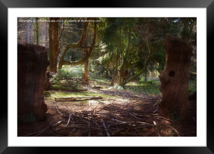 The Magic Of Sunlight Framed Mounted Print by Christine Lake