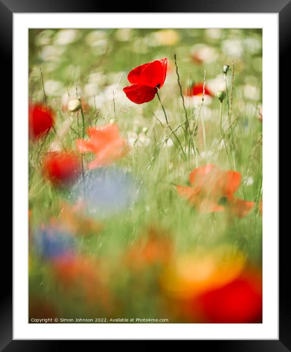 Poppy and meadow flowers Framed Mounted Print by Simon Johnson