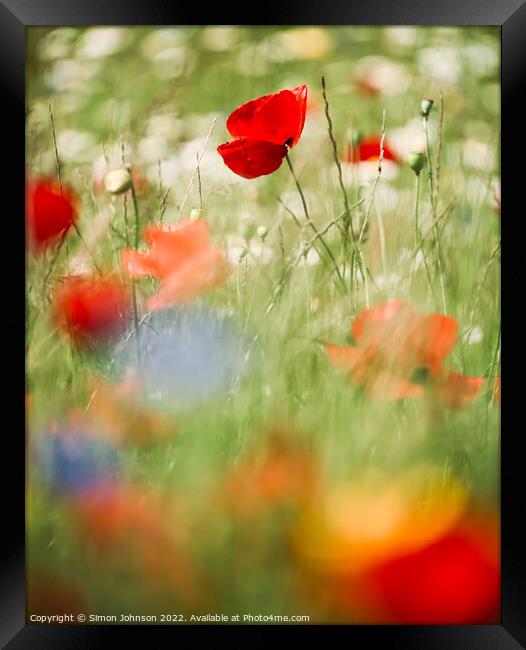 Poppy and meadow flowers Framed Print by Simon Johnson