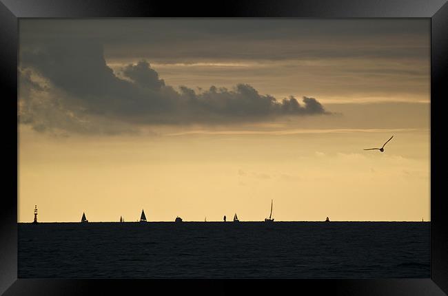 Solent sunset silhouettes Framed Print by Gary Eason
