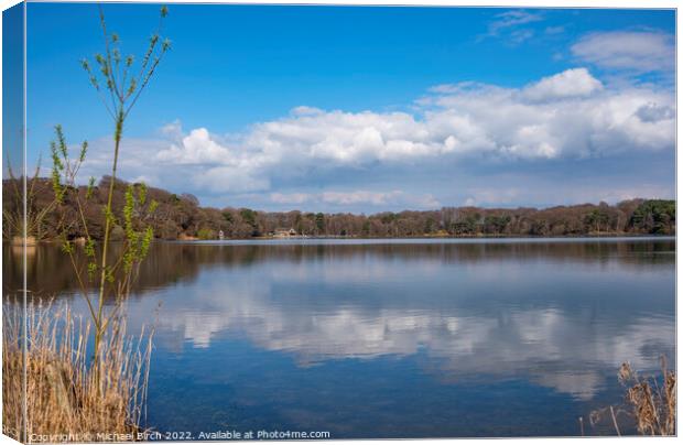 Serene Nature Haven Canvas Print by Michael Birch