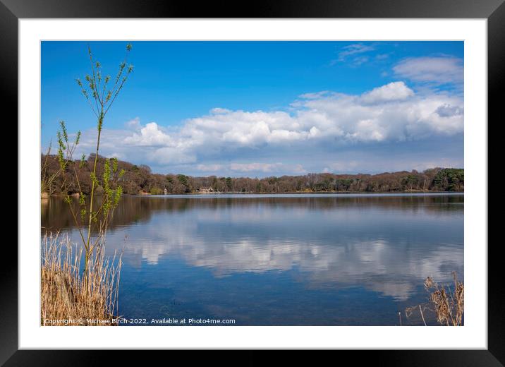 Serene Nature Haven Framed Mounted Print by Michael Birch
