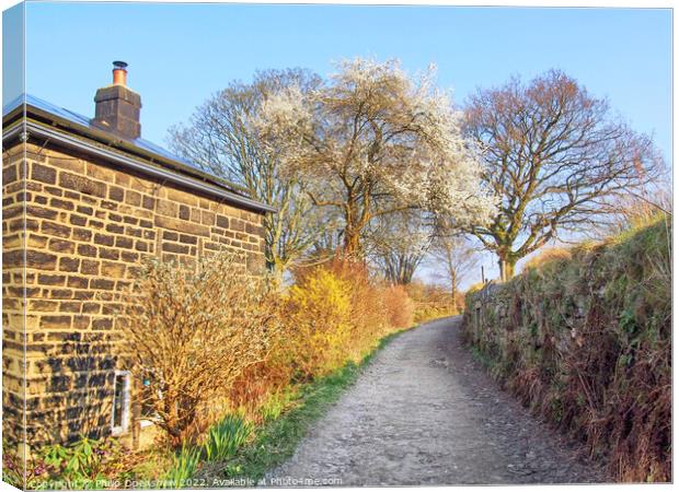 Springtime Country Lane Canvas Print by Philip Openshaw