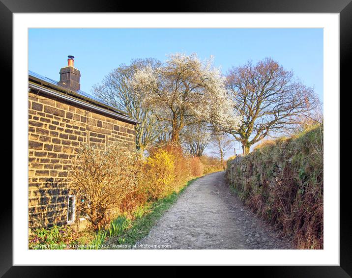 Springtime Country Lane Framed Mounted Print by Philip Openshaw