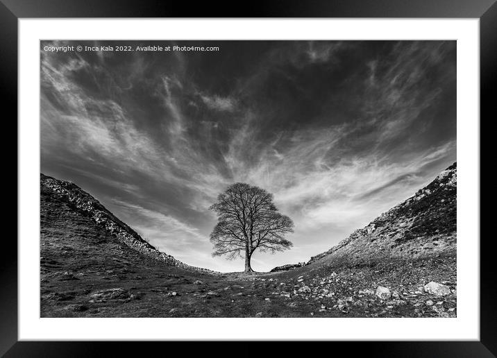 The Sycamore Gap - Hadrian's Wall Framed Mounted Print by Inca Kala