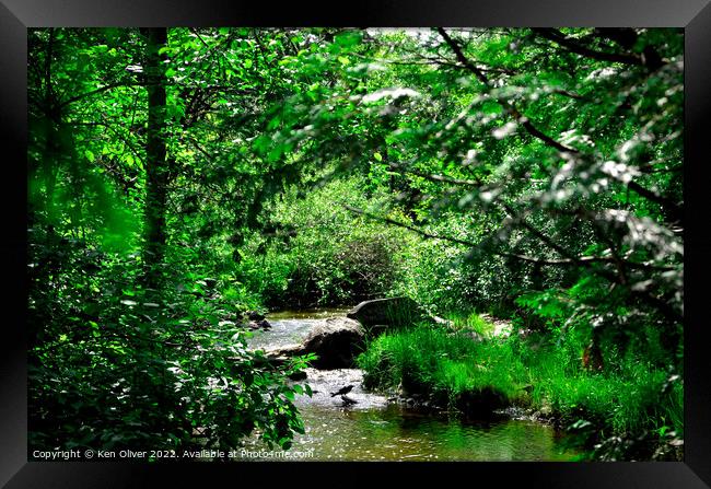 Enchanting Oasis: Jackson Creek's Verdant Haven Framed Print by Ken Oliver