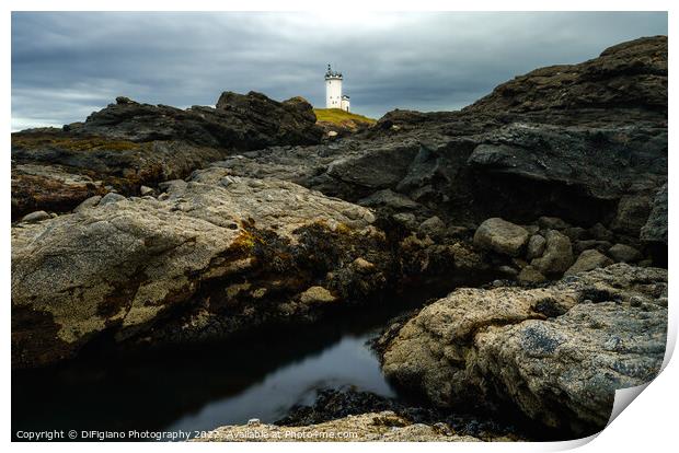 Elie Lighthouse Print by DiFigiano Photography
