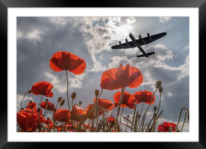 Lancaster Bomber Poppy Pass Framed Mounted Print by J Biggadike
