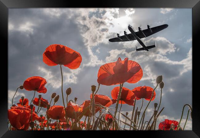 Lancaster Bomber Poppy Pass Framed Print by J Biggadike