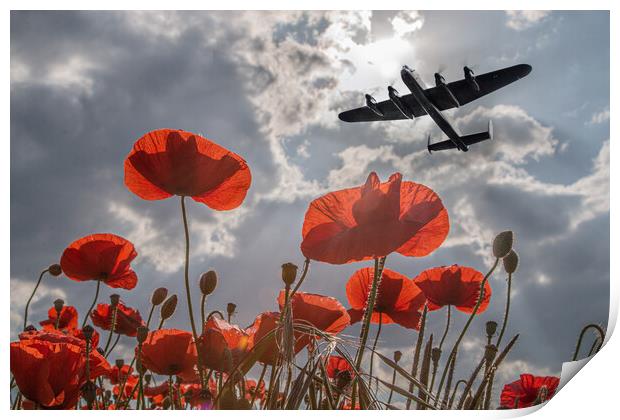 Lancaster Bomber Poppy Pass Print by J Biggadike