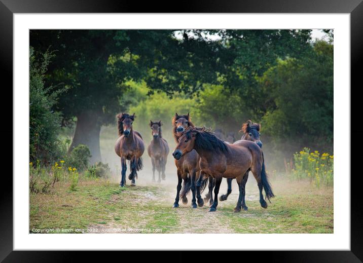 Wild horses putting the brakes on  Framed Mounted Print by kevin long