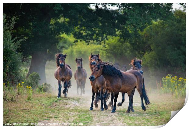 Wild horses putting the brakes on  Print by kevin long