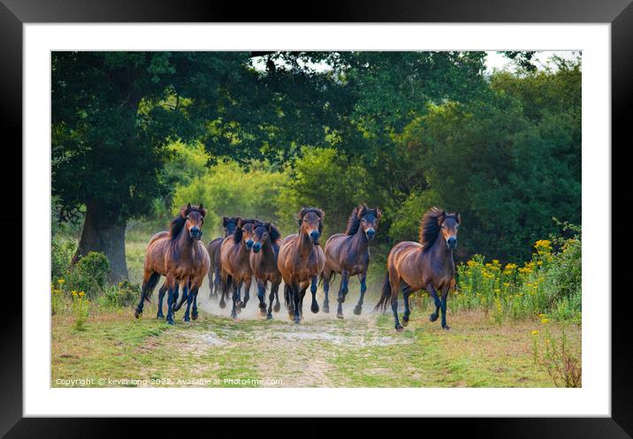 Running wild Horses  Framed Mounted Print by kevin long