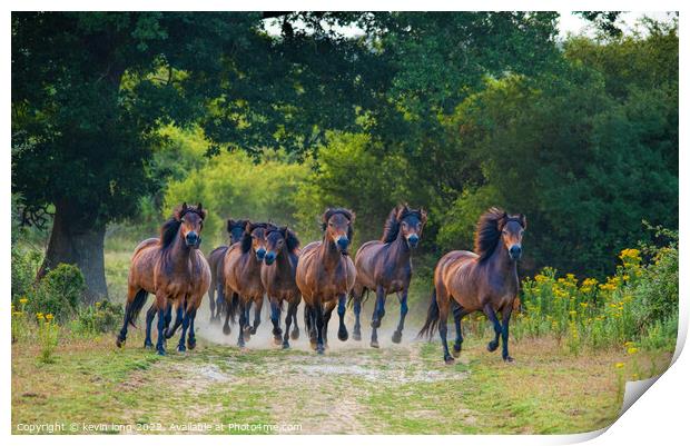 Running wild Horses  Print by kevin long