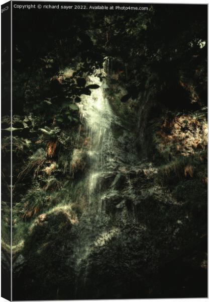 Enchanting Mallyan Grotto Canvas Print by richard sayer