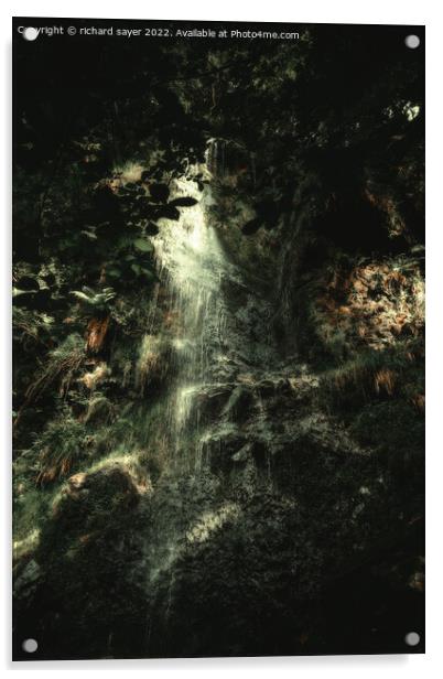 Enchanting Mallyan Grotto Acrylic by richard sayer