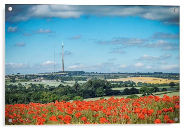 Poppies On Emley Moor Acrylic by J Biggadike